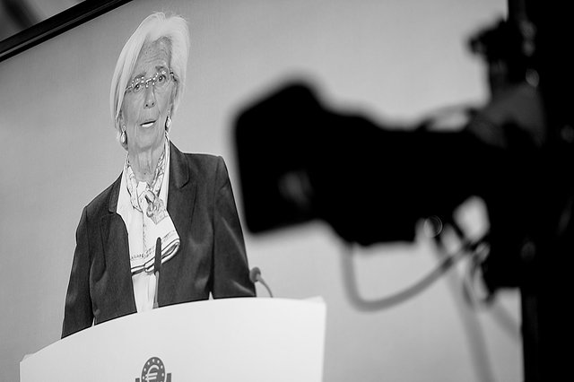 Die Taube und die Kröten