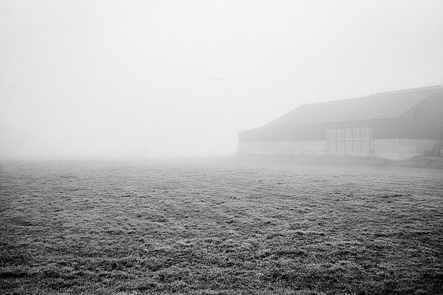Von der Kunst, im Nebel zu stochern