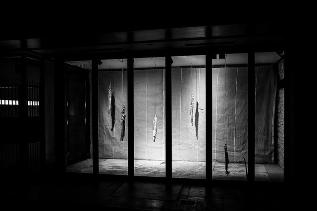 Kunst in Kapseln