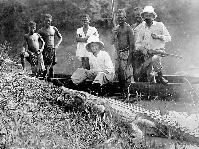 La « vie globale » d’un naturaliste au temps du colonialisme