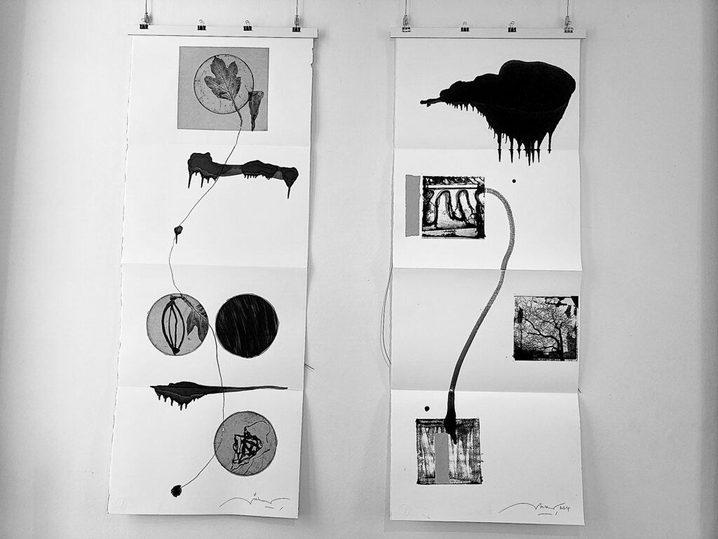 Die Kunst des Buches und des Papiers