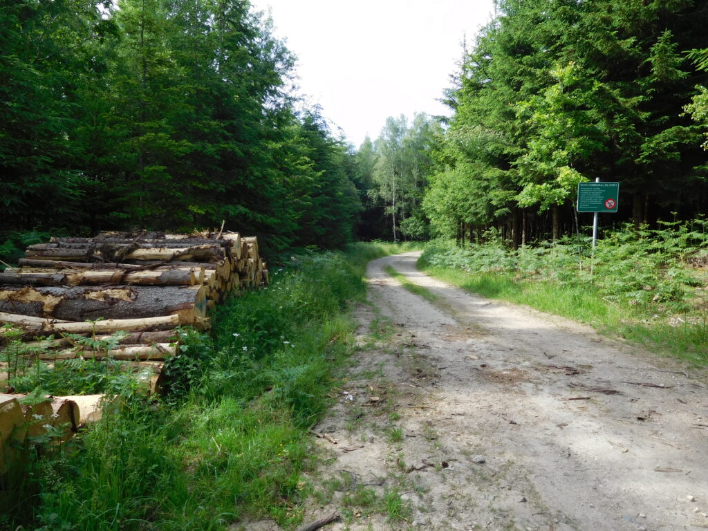 Profondeurs ardennaises